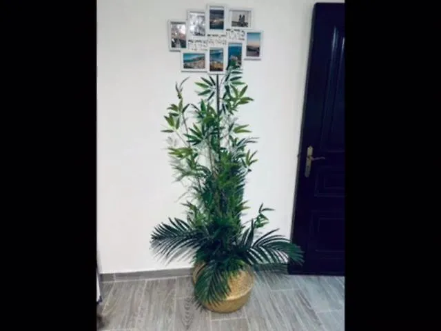 Nyaraló Casinha Da Palmeira *